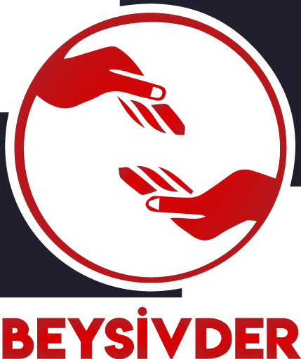 beysivder logo